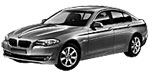 BMW F10 P20E1 Fault Code